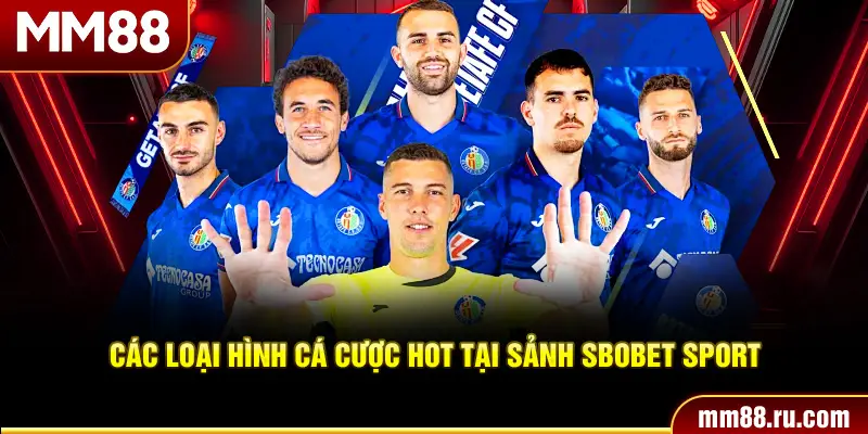 Các loại hình cá cược hot tại sảnh Sbobet sport