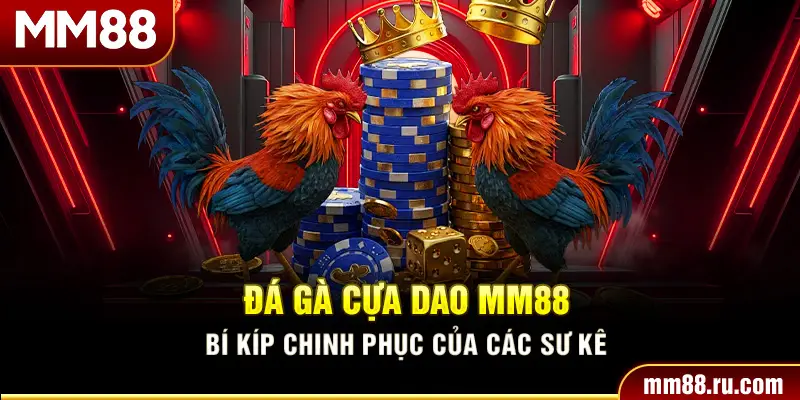 Đá Gà Cựa Dao MM88 – Bí Kíp Chinh Phục Của Các Sư Kê  