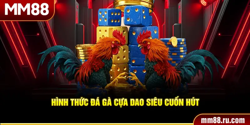 Hình thức đá gà cựa dao siêu cuốn hút
