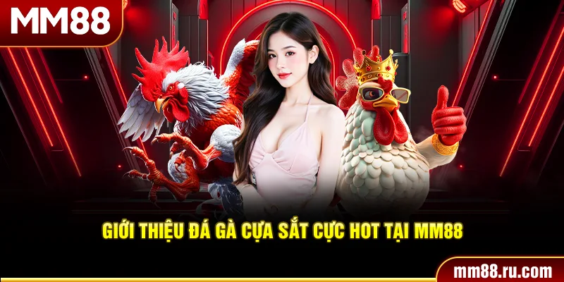 Giới thiệu đá gà cựa sắt cực hot tại MM88