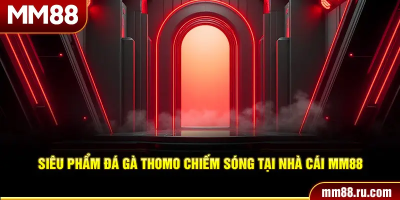 Siêu phẩm đá gà Thomo chiếm sóng tại nhà cái MM88