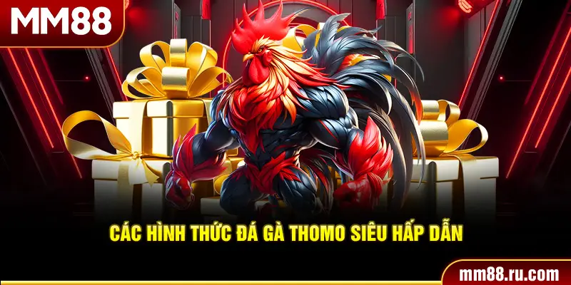 Các hình thức đá gà Thomo siêu hấp dẫn